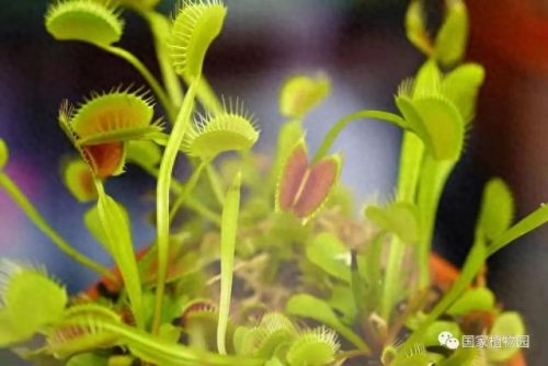 排名前十火的景点(新余景点排名前十)插图4