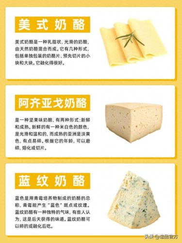 干酪口味排名前十(奶香味最重的干酪)插图1