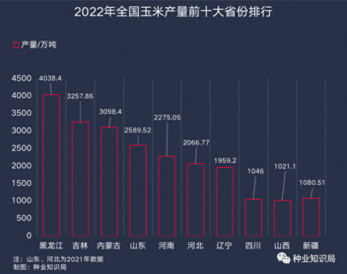 玉米产能排名前十(十大名玉米产量排名)插图