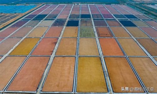 盐城水域排名前十(盐城市省内排名)插图61