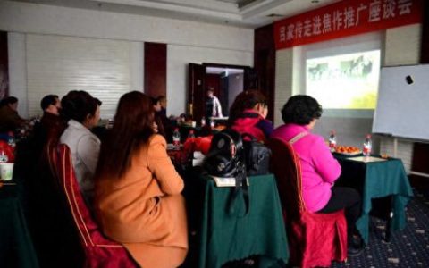 焦作膏药排名前十(洛阳哪个品牌膏药好)