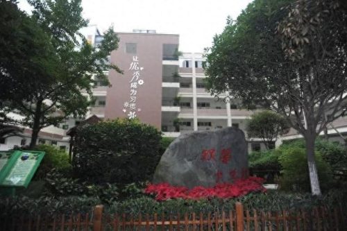 简阳小学排名前十(简阳十大镇排名)插图2