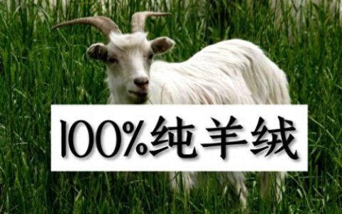 排名前十围巾品牌(女品牌围巾排行榜前十名)