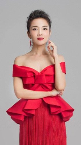 韩红管彤婚纱照(王为念和管彤的关系)插图12