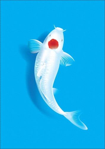 鱼鱼桌面秀(鱼鱼桌面秀侧边栏)插图73