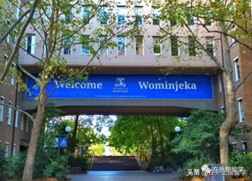 澳洲留学工程硕士排名前十(澳洲硕士留学最便宜的学校)插图10