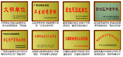 百色汽修学校排名前十(百色高中排名一览表)插图4