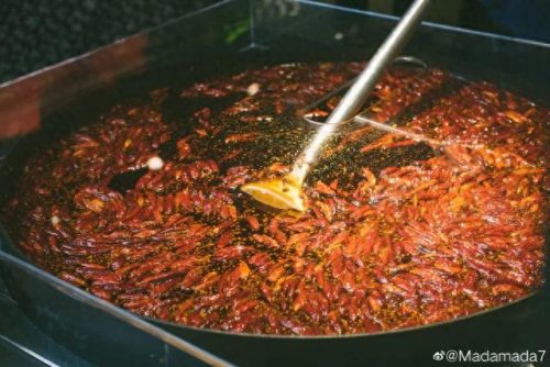 四川防潮软木墙纸排名前十(广东吸音软木墙纸排名前十)插图33