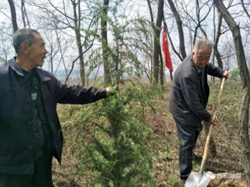 陇南市西和县村庄排名前十(陇南西和哪个村最好)插图
