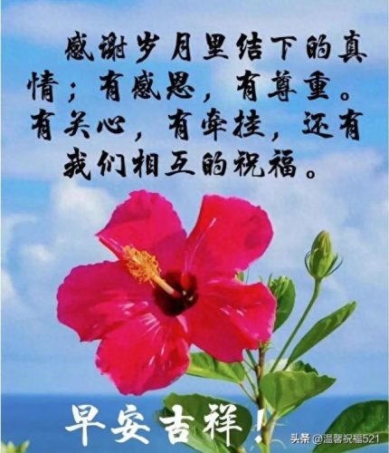 521创意图片(521有意思的图片)插图8