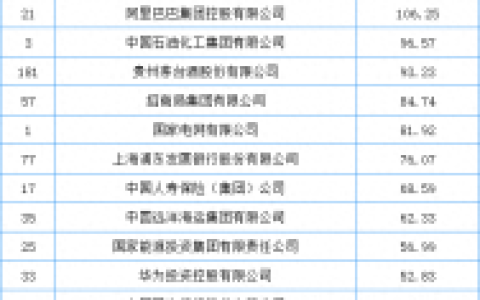 中国公司经济实力排名前十(2022经济排名)