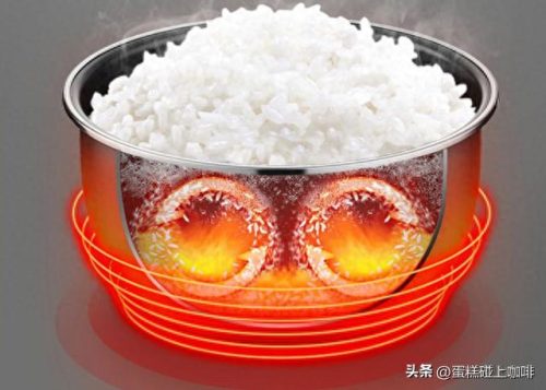 电炖杯迷你排名前十的品牌(小型电炖杯食谱)插图1