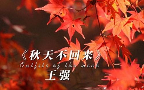 网络歌曲2009(2009年网络歌曲)插图9
