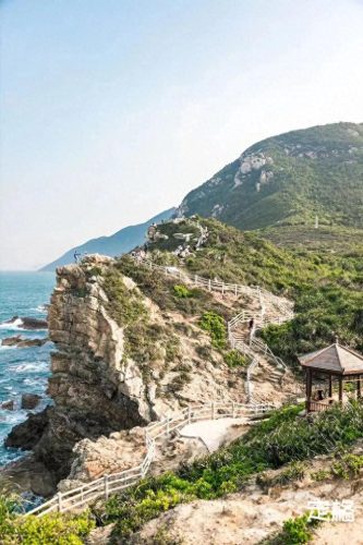荷兰旅游排名前十(荷兰花海)插图27