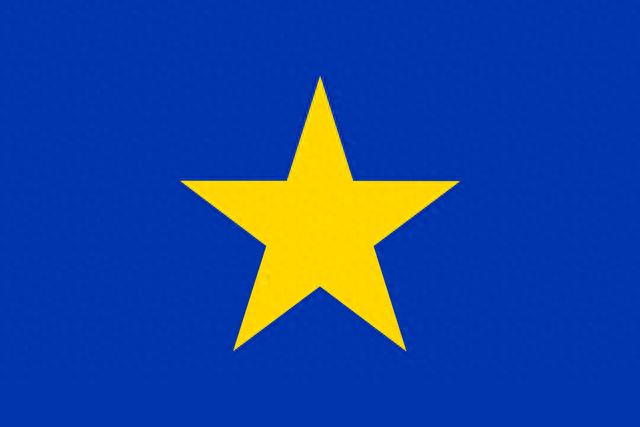 智利国旗(各国国旗)插图16