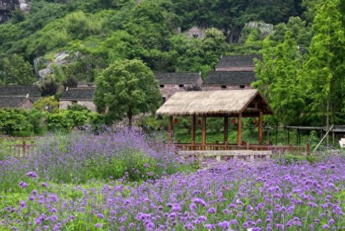 天台景区排名前十(天台景区浙江排名前十)插图46