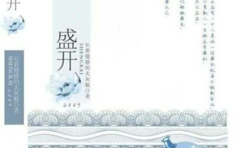 几乎都是肉的现言(姐夫凶猛高干文小说推荐)