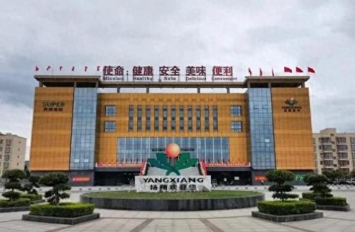 玉林税收企业排名前十(广西企业100强玉林)插图1