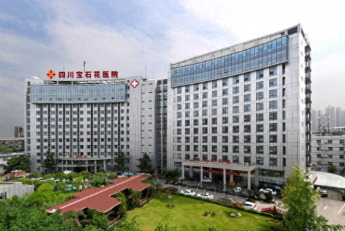双流医院排名前十(双流区最好的医院)插图6