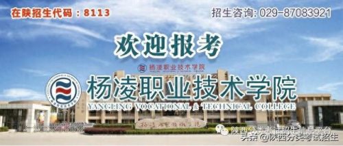 杨凌职业技术学院自主招生(杨凌职业学院有前途吗)插图
