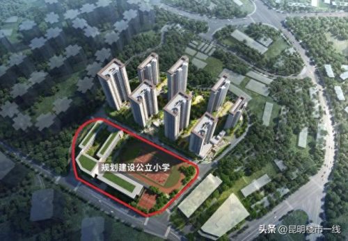 昆明西南小学排名前十(昆明十大最好小学排名)插图14