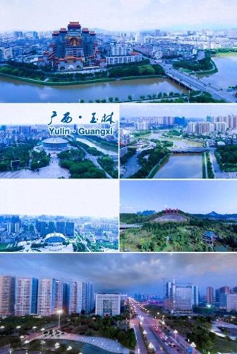 玉林税收企业排名前十(广西企业100强玉林)插图2