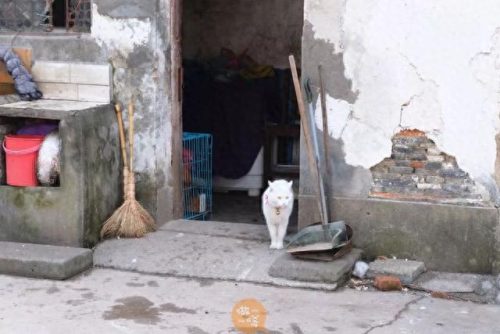 常州街区排名前十(常州前100名富豪排名)插图24