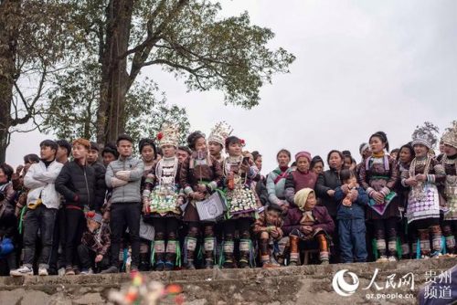 芦笙节是哪个民族的节日(芦笙节是哪个民族的)插图5