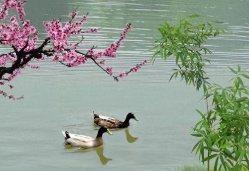 苏东坡排名前十(苏东坡名诗30首)插图7