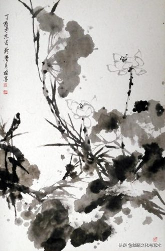 白腹凯克鹦鹉(凯克多少钱一只)插图12