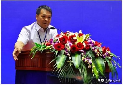 会泽上市企业排名前十(会泽公司注册十大排名)插图21