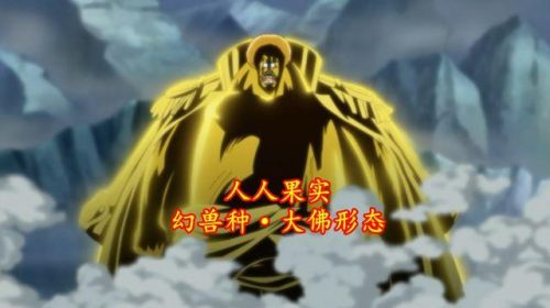人人果实佛型(人人果实是什么意思)插图4