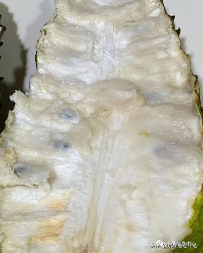 释迦果排名前十(释迦果什么口感最好)插图21