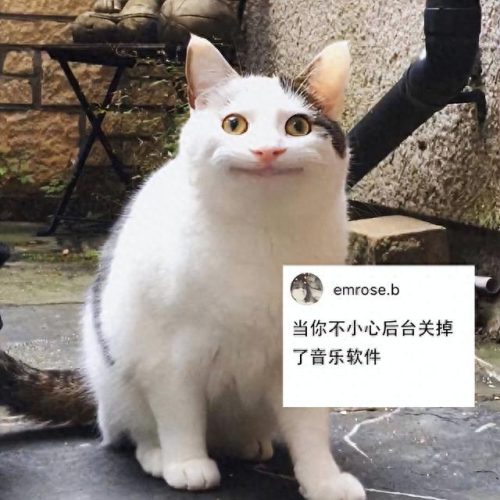 听音乐图片(听歌图片大全唯美)插图2