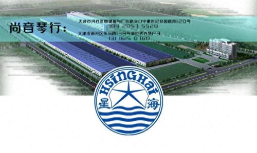 国内钢琴排名前十(钢琴最好的十大排名)插图6