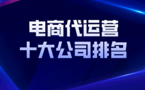 电商运营公司排名前十品牌(十大电商运营公司排名)