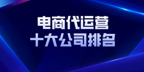 电商运营公司排名前十品牌(十大电商运营公司排名)插图