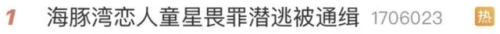 海豚湾恋人歌曲(海豚湾恋人徐泽亚哭了)插图