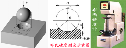 互为质数什么意思(质数和合数的概念)插图16
