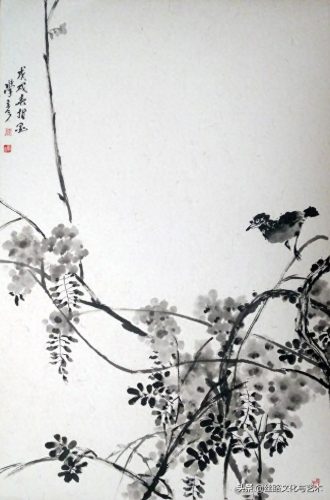 白腹凯克鹦鹉(凯克多少钱一只)插图15