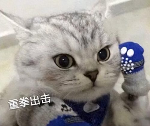 为什么王老吉改名加多宝(加多宝现状2023)插图8