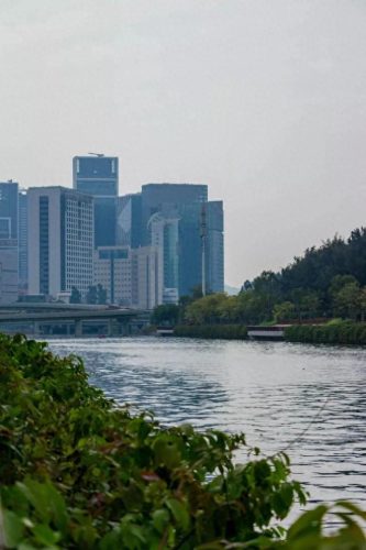 荷兰旅游排名前十(荷兰花海)插图31