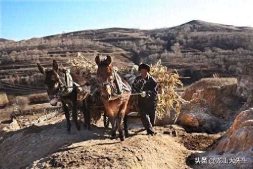 灵丘土匪排名前十(灵丘刘腿子真名)插图
