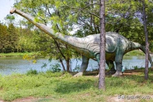 排名前十的杂食恐龙(最大的恐龙前十名排名)插图4