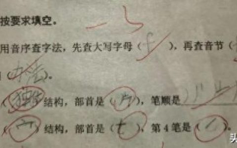 单是什么结构的字(单的偏旁)