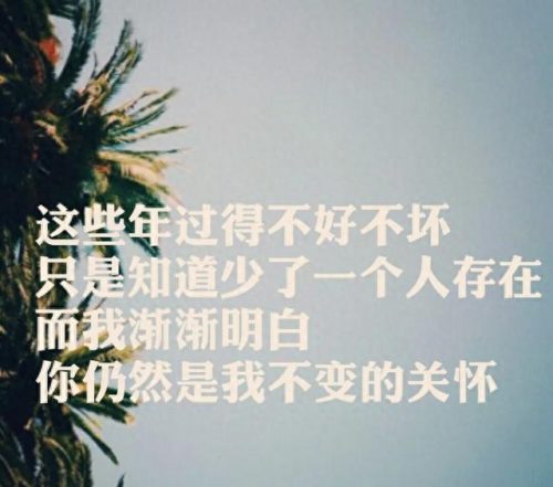迪克牛仔 灌篮高手(声音模仿迪克牛仔)插图