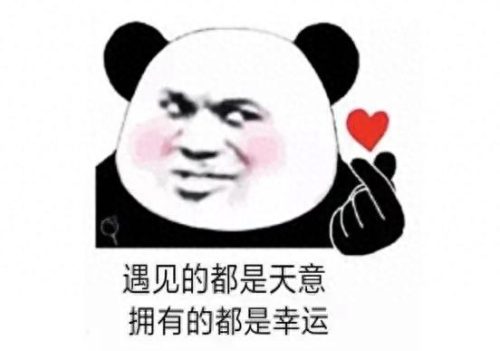 中央对恒大批示(恒大集团第一美女)插图7