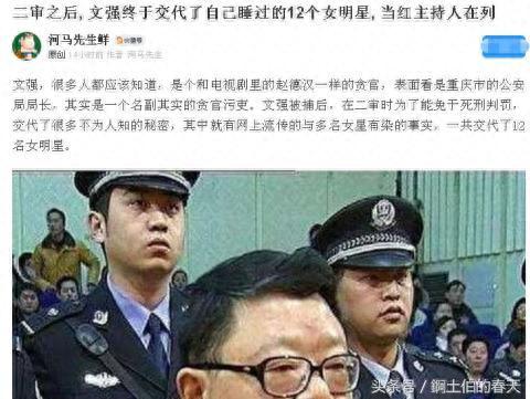 蒋雯丽文强(文强)插图