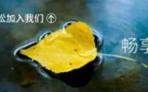 泰安市儿童乐园排名前十(泰安儿童乐园有几个室内)