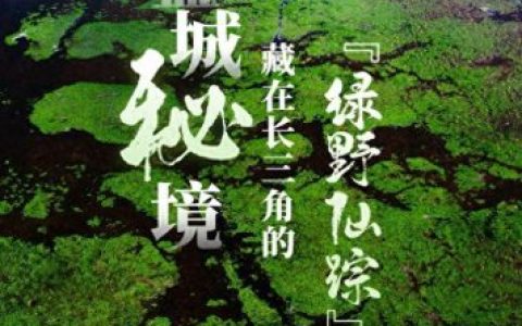 盐城水域排名前十(盐城市省内排名)